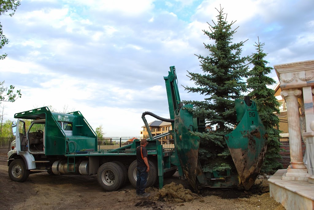Kiwi Nurseries Ltd | 31313 118 Ave NW, Acheson, AB T7X 6M6, Canada | Phone: (780) 962-9297