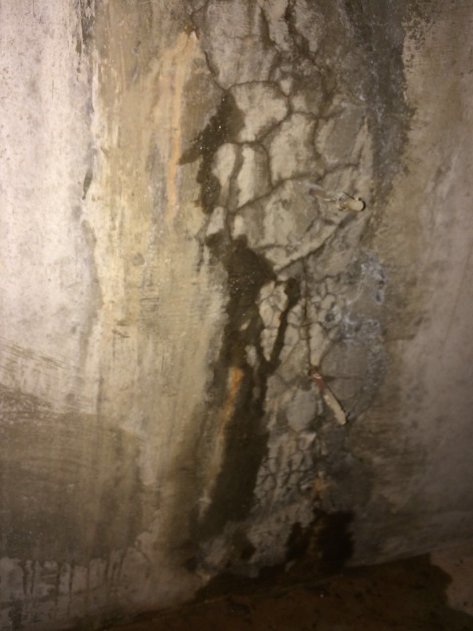 Robust Waterproofing Inc | 23 Woodbine St, Charlottetown, PE C1A 2X8, Canada | Phone: (902) 916-3392