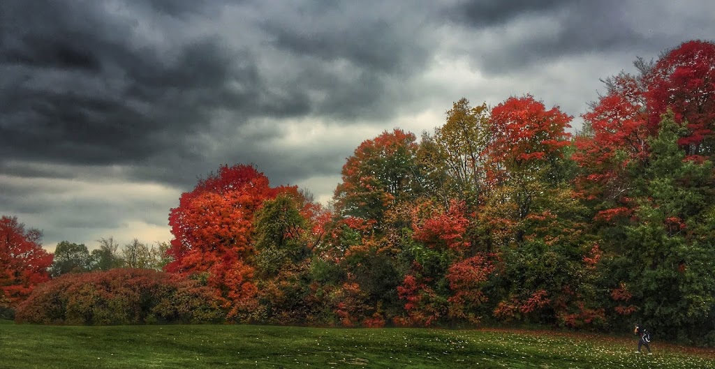 Oshawa Airport Golf Club | 1145 Thornton Rd N, Oshawa, ON L1H 7K4, Canada | Phone: (905) 723-5175