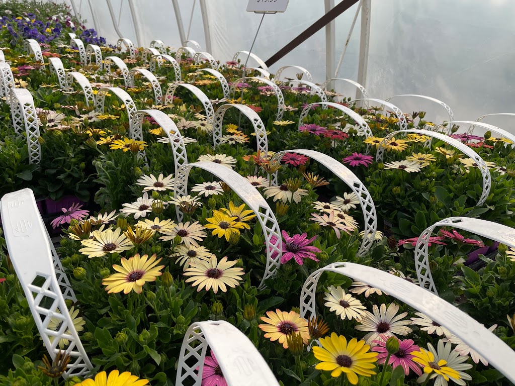 Parkside Gardens Greenhouse & Landscaping | MB-5, Riding Mountain, MB R0J 1T0, Canada | Phone: (204) 967-2135
