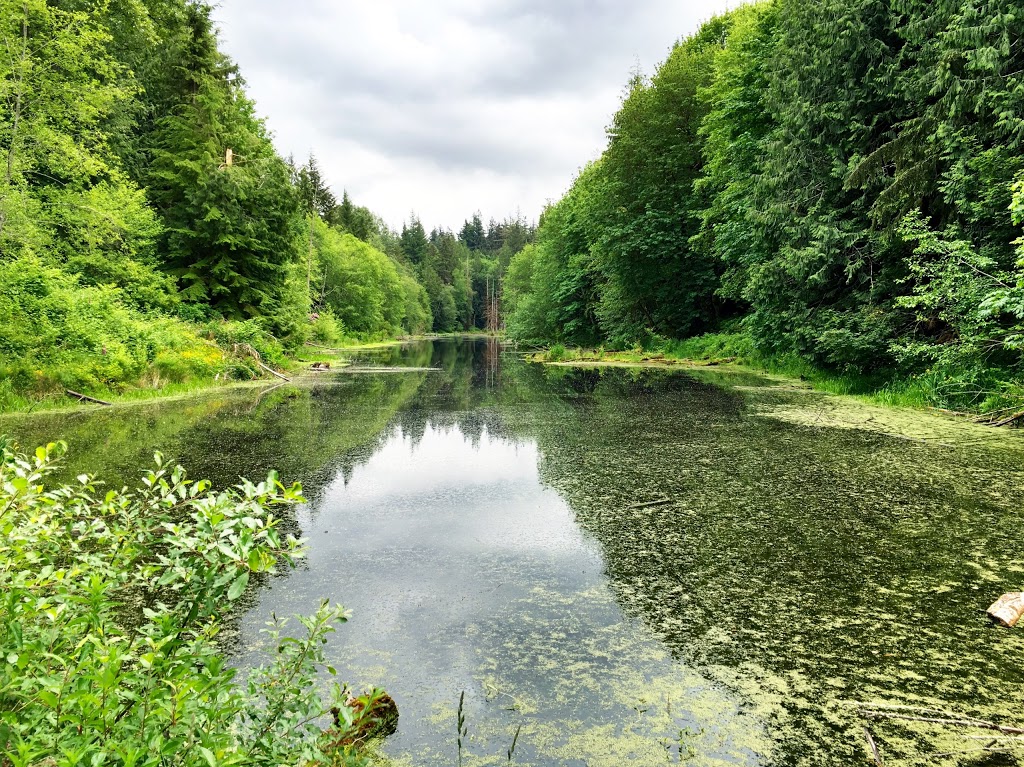 Stimpson Family Nature Reserve | 2076 Lake Louise Rd, Bellingham, WA 98229, USA | Phone: (360) 778-5850
