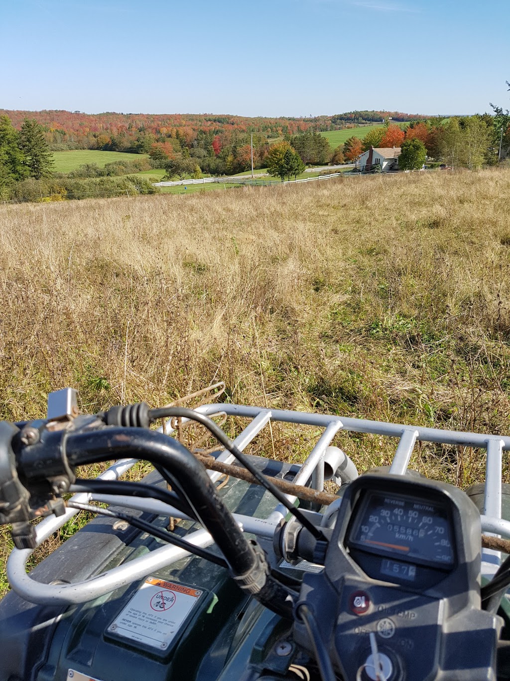 Safe Haven Ranch | 3662 Indian Rd, Shubenacadie, NS B0N 2H0, Canada | Phone: (902) 814-7492