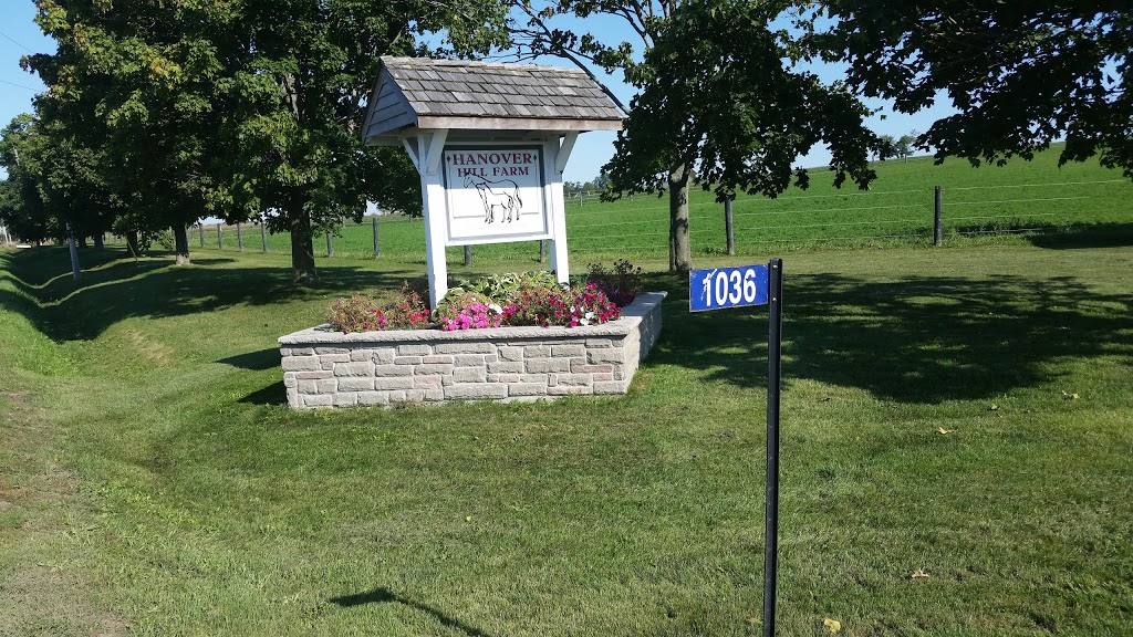 Hanover Hill Equine Inc | 1036 Scugog Line 4, Port Perry, ON L9L 1B5, Canada | Phone: (905) 985-0931
