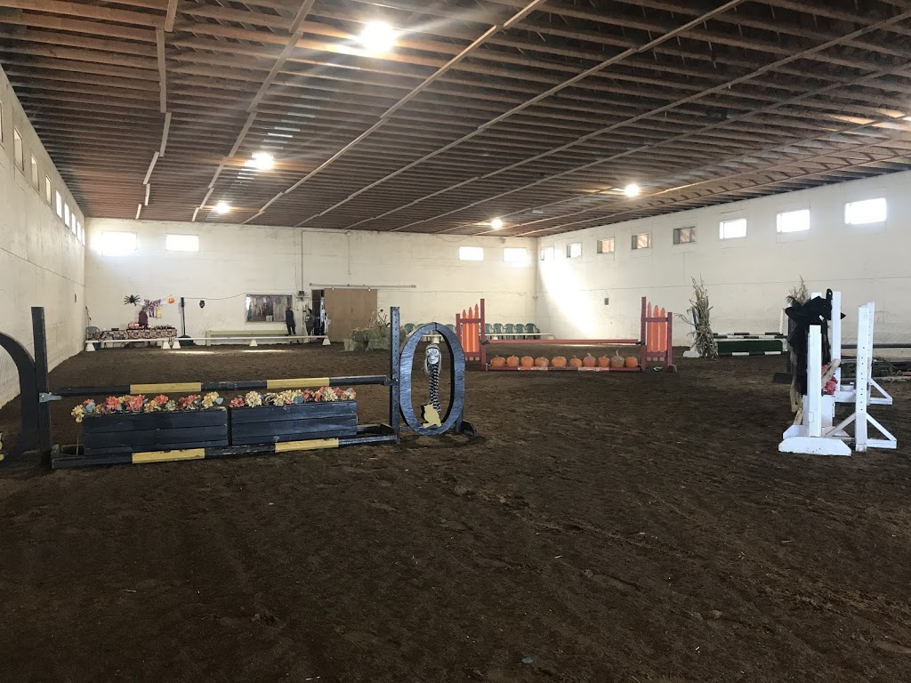 Owlstone Equestrian Center | 669 Foxboro Stirling Rd, Foxboro, ON K0K 2B0, Canada | Phone: (613) 813-9225