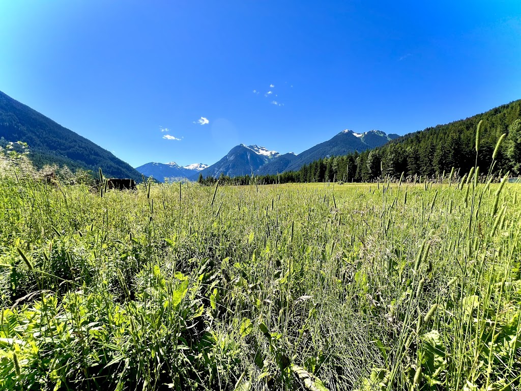 Blackwater Valley Lodge | 2700 Blackwater Lake Rd, DArcy, BC V0N 1L0, Canada | Phone: (604) 329-5859