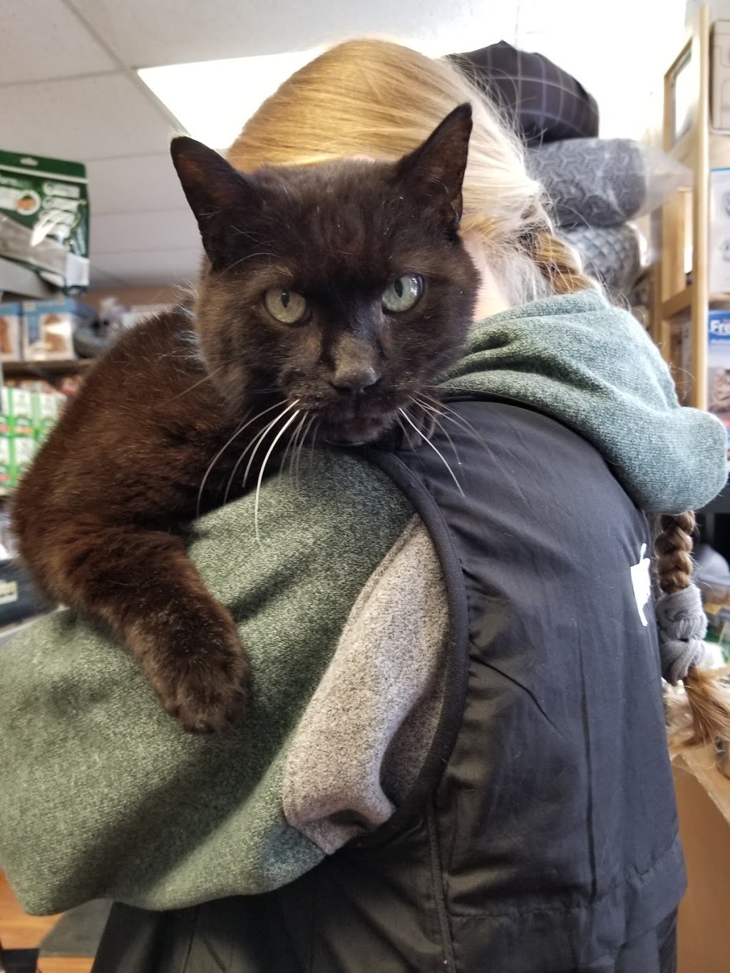Paulmacs Pets | 12311 Hwy 35, Heritage Plaza, Minden, ON K0M 2K0, Canada | Phone: (705) 286-1172