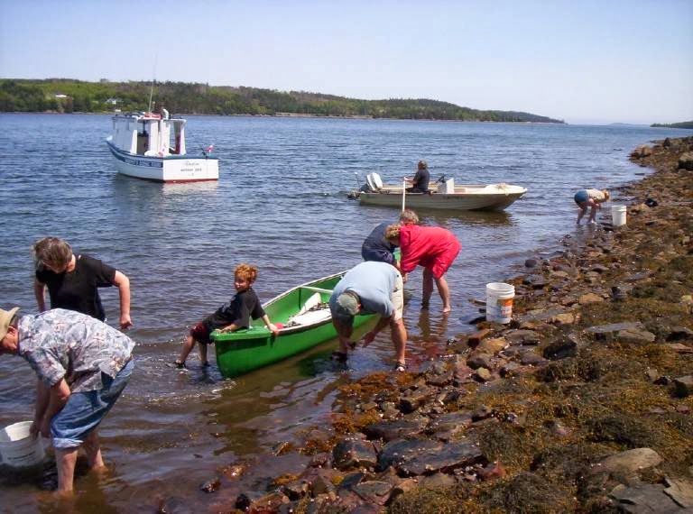 Murphys Camping on the Ocean | 308 Murphys Rd, Tangier, NS B0J 3H0, Canada | Phone: (902) 772-2700