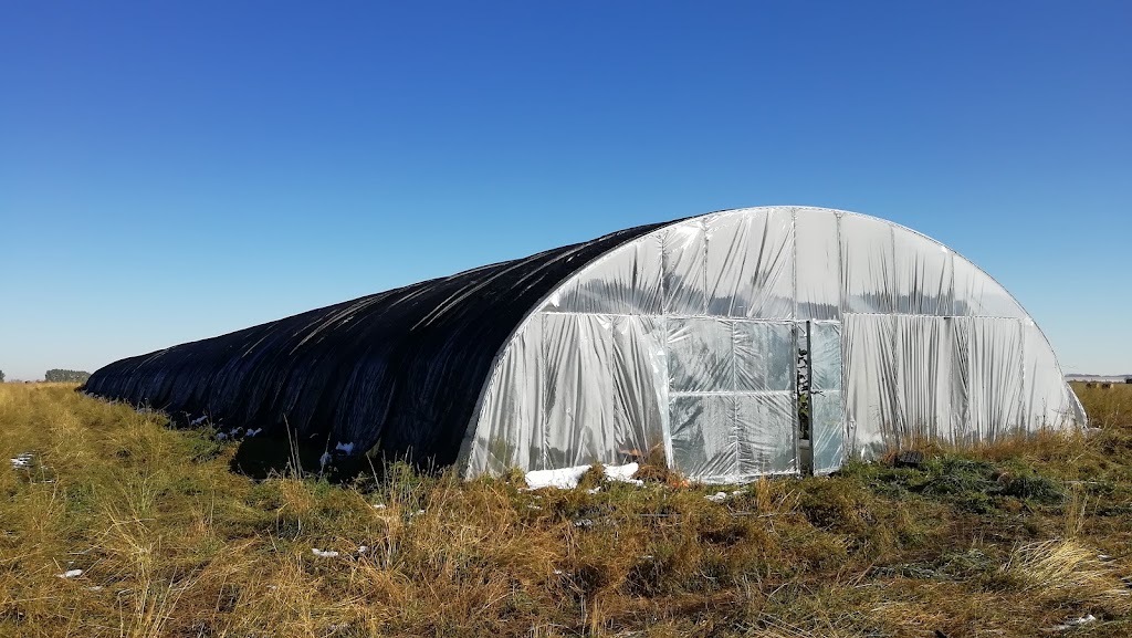 EverSource Farm | Range Rd 292, Carstairs, AB T0M, Canada | Phone: (403) 452-8958