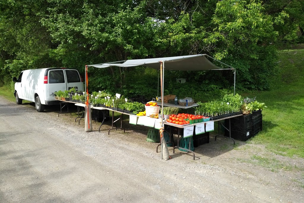 Kinmount Farmers Market | 4953-4903, Kawartha Lakes County Rd 45, Kinmount, ON K0M 2A0, Canada | Phone: (416) 986-7216