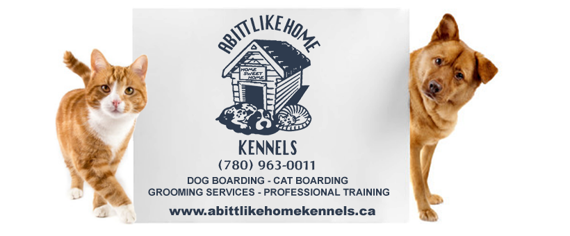 Abitt Like Home Kennels | 52206 Range Rd 12, Stony Plain, AB T7Z 1X1, Canada | Phone: (780) 963-0011