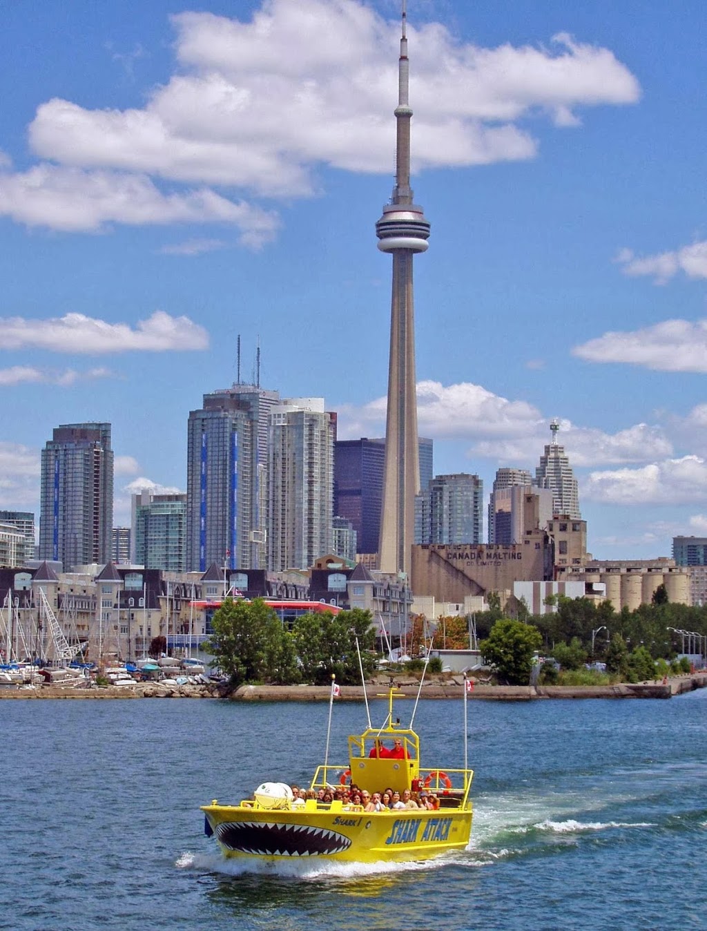 Shark Attack Tours | 249 Queens Quay W, Toronto, ON M5J 2N5, Canada | Phone: (416) 410-0536