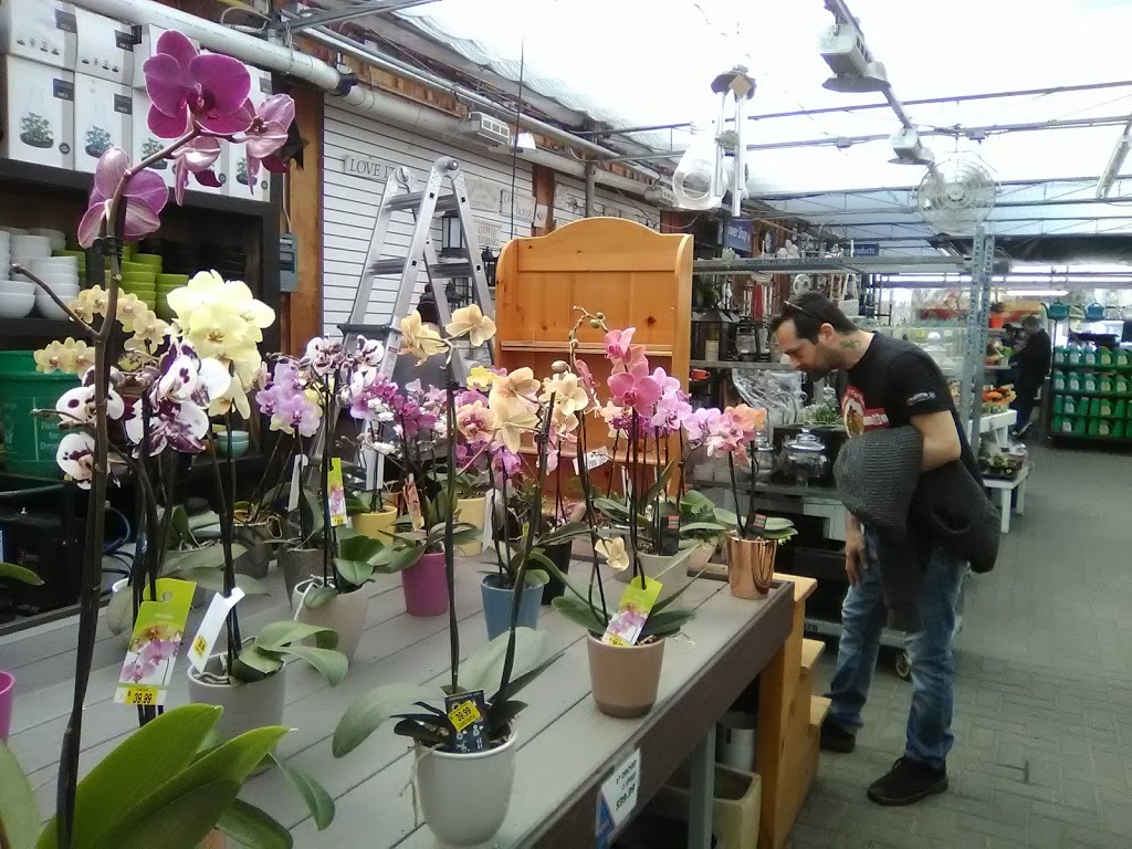 Coles Florist & Garden Centre | 147 Main St E, Grimsby, ON L3M 1P2, Canada | Phone: (905) 945-2219