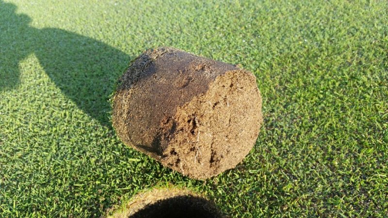 Bos Sod Farms Inc | 2565 Dixon Rd, Abbotsford, BC V3G 2H2, Canada | Phone: (604) 854-1415