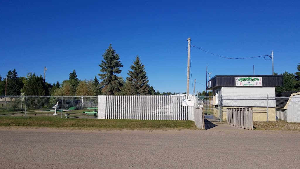 Gobbles Putt For Par | 104 Carl Erickson Ave, Shell Lake, SK S0J 2G0, Canada | Phone: (306) 270-7310