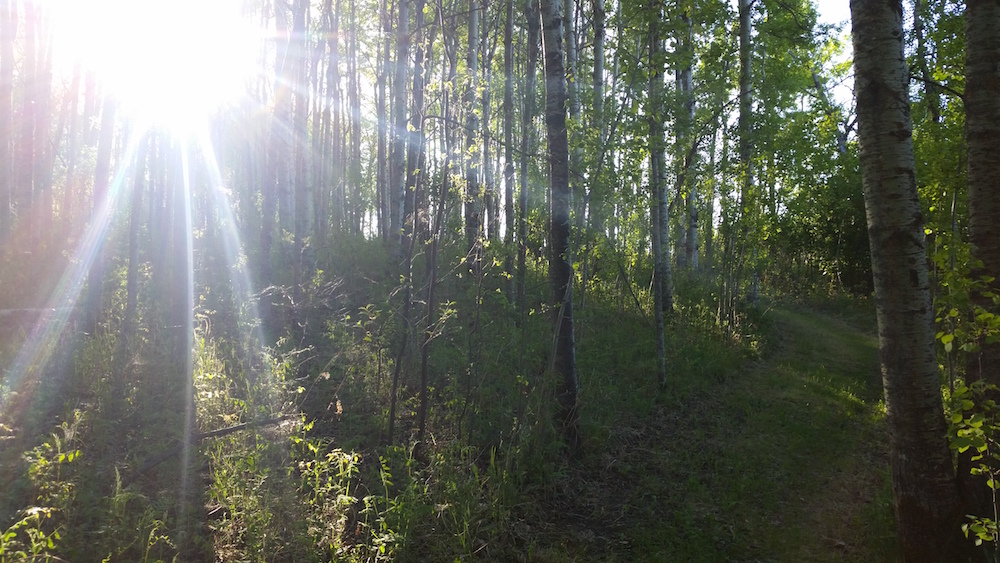 Camp Oselia | 53230 Range Rd 53, Fallis, AB T0E 0V0, Canada | Phone: (587) 525-7983