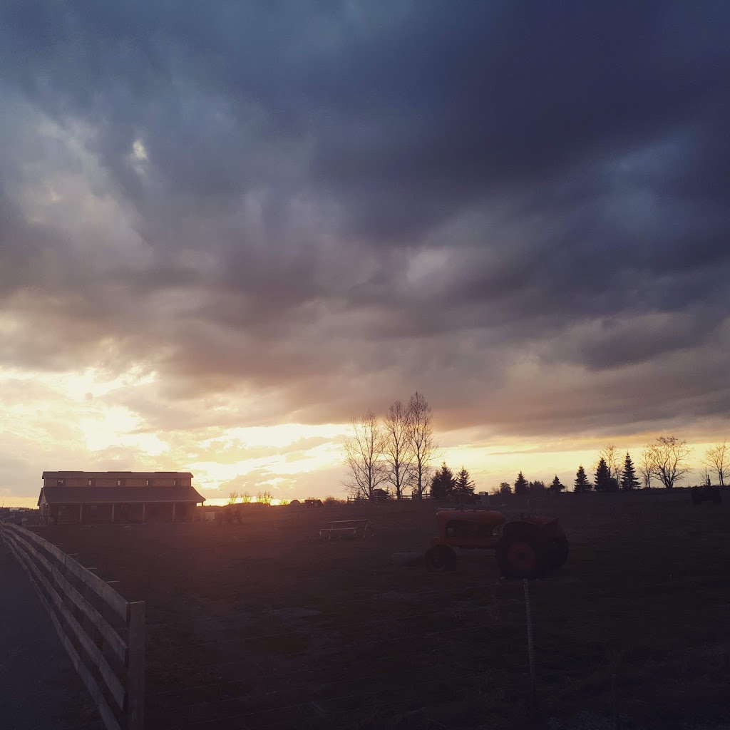 Applewood Farm & Winery- North of Port | 2055 Saintfield Rd, Sunderland, ON L0C 1H0, Canada | Phone: (905) 642-4720