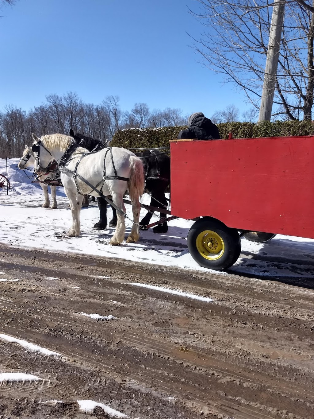 Farsa salles de réception et cabane à sucre | 1050 Boulevard Arthur-Sauvé, Saint-Eustache, QC J7R 4K3, Canada | Phone: (450) 473-3840