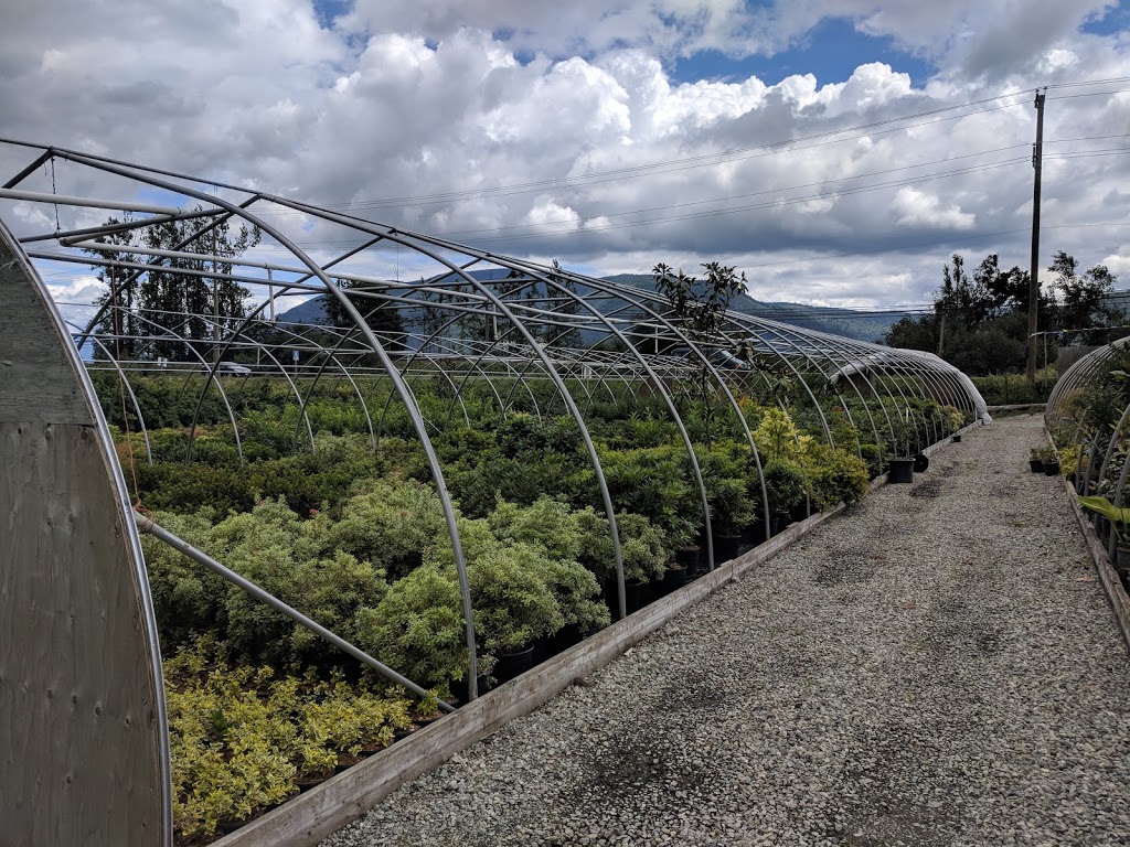 Mandip Bhullar Farms And Nursery | 36545 Lougheed Hwy, Fraser Valley G, BC V2V 7K6, Canada | Phone: (604) 751-3437