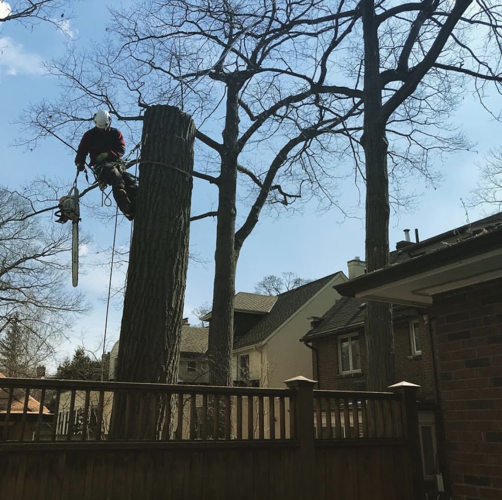 Island Arborist Tree Service | 99 Long Point Rd, North Rustico, PE C0A 1X0, Canada | Phone: (902) 218-4849