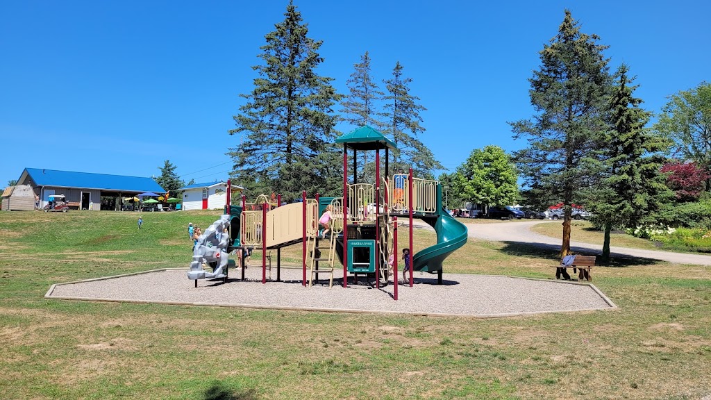 Yogi Bear’s Jellystone Park Camp Resort | 43 Boo Boo Blvd, Kingston, NS B0P 1R0, Canada | Phone: (888) 225-7773