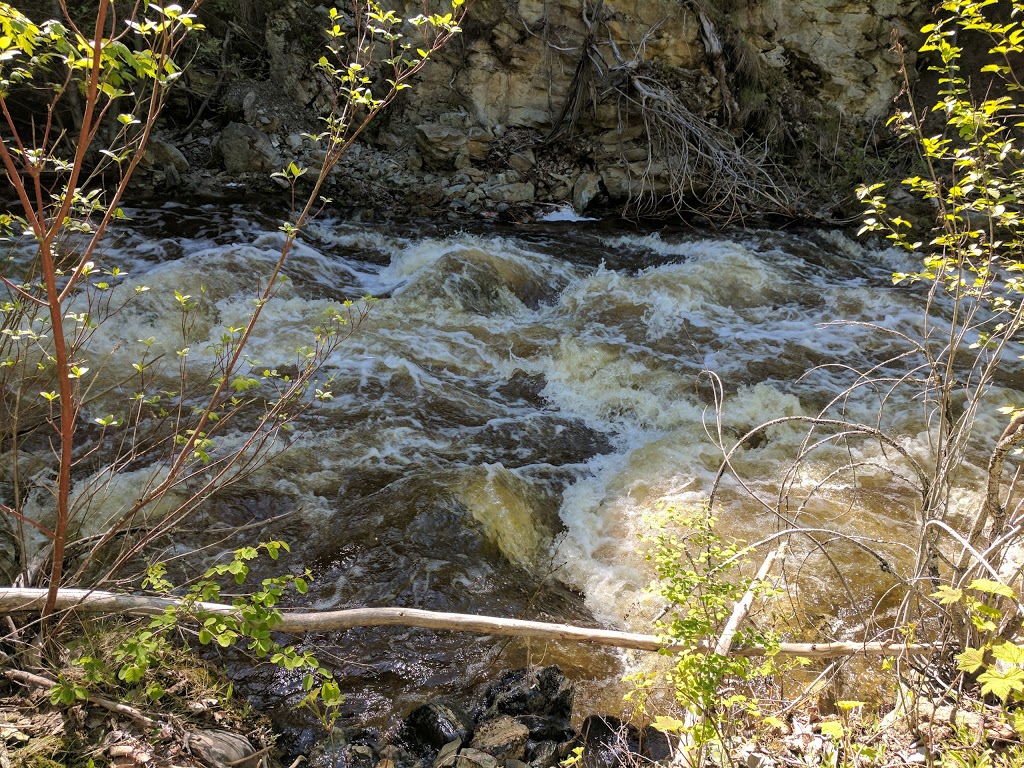 Canyon Falls Park | 1856 Canyon Falls Ct, Kelowna, BC V1W 4P1, Canada