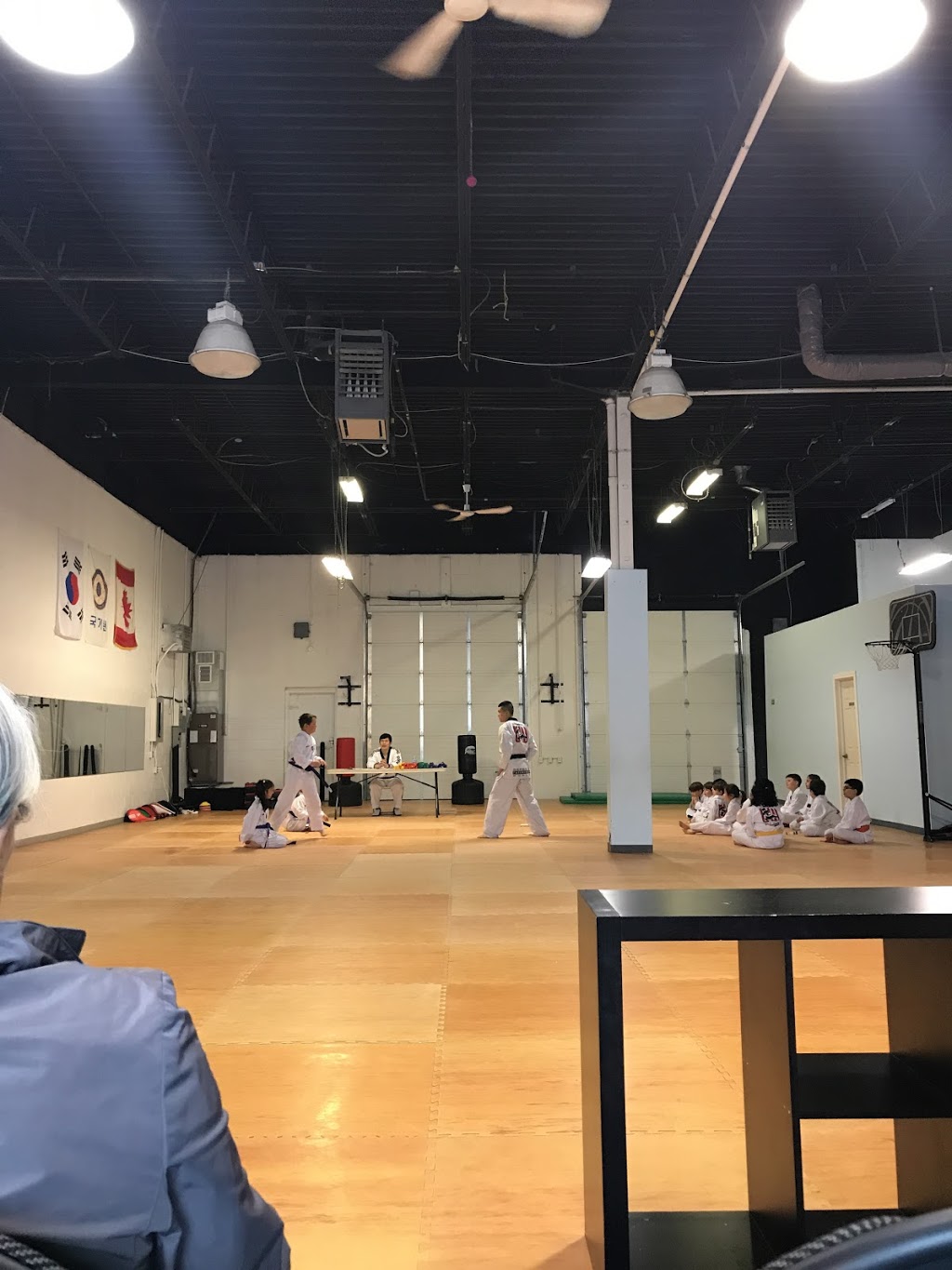 Seongs Taekwondo World | Oakville Martial Arts | 461 North Service Rd W B43-44, Oakville, ON L6M 2V5, Canada | Phone: (905) 510-3434