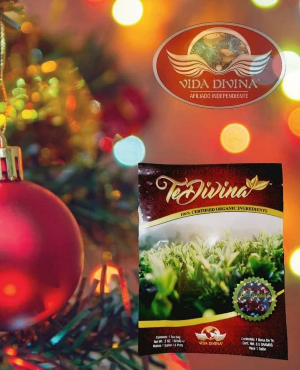 Lisas Vida Divina Business | 145 Albert St, Winkler, MB R6W 3M8, Canada | Phone: (204) 384-1446
