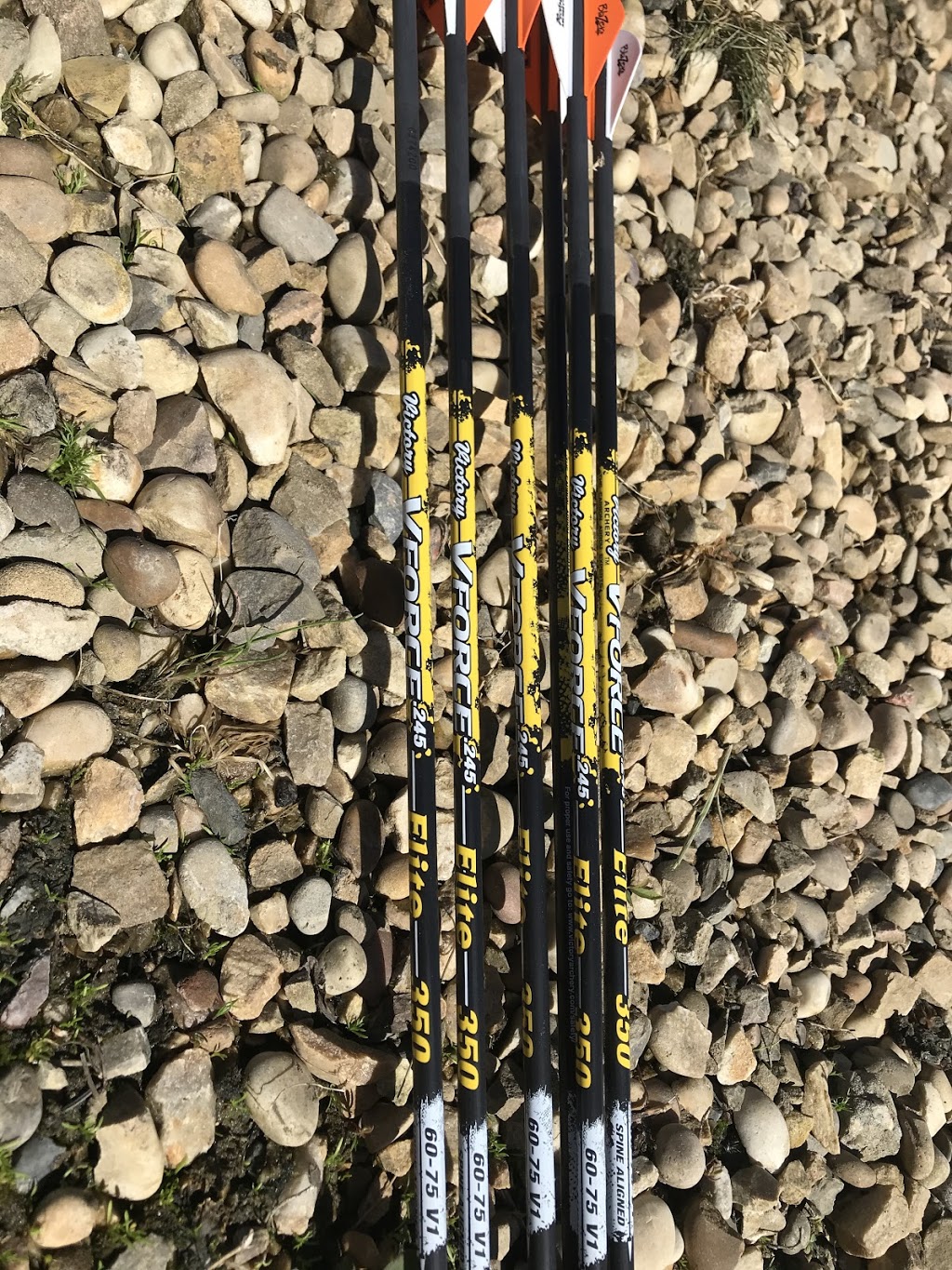 Ambush Archery Ltd. | 27041, twp rd 482, Calmar, AB T0C 0V0, Canada | Phone: (780) 289-2281