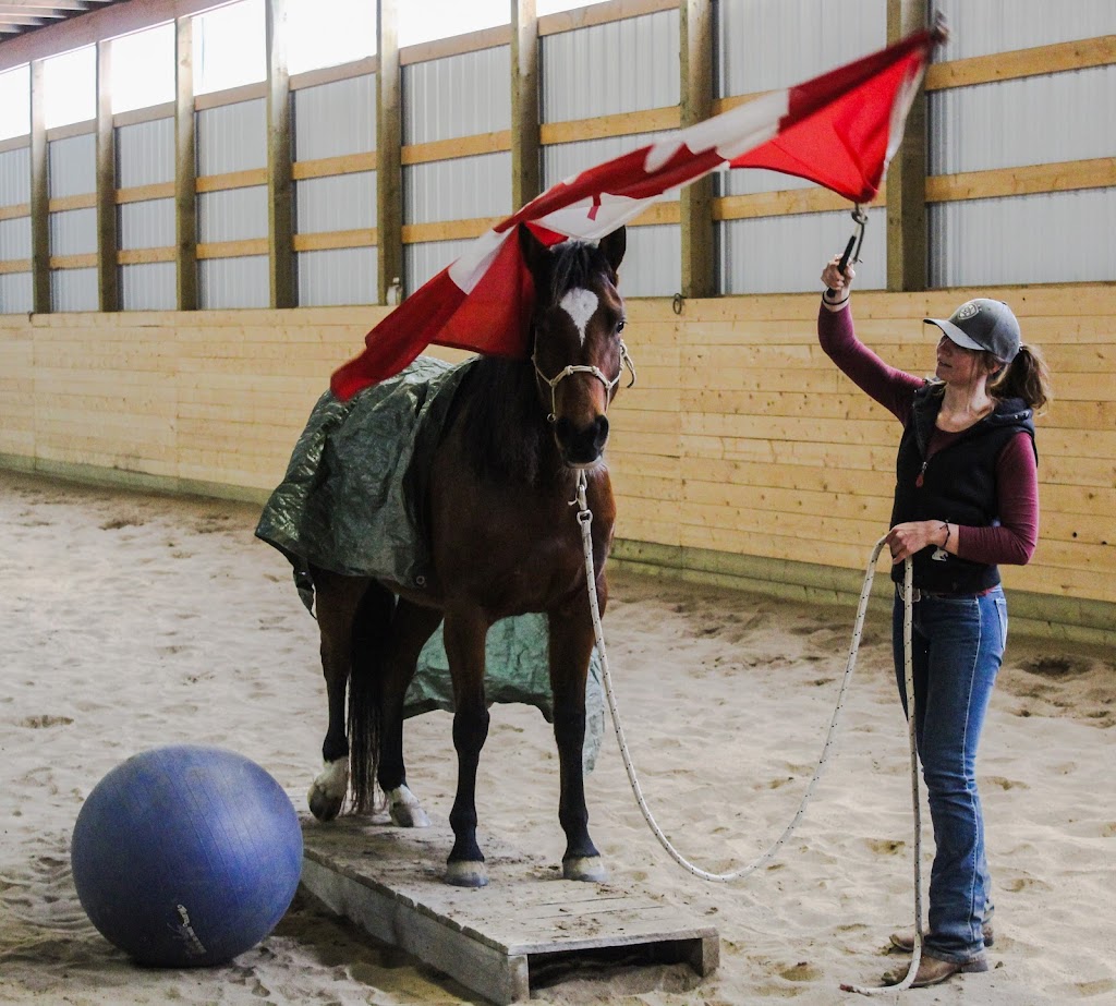 ProHorse | 30301, Range Rd 52, AB T0M 2E1, Canada | Phone: (587) 436-5572