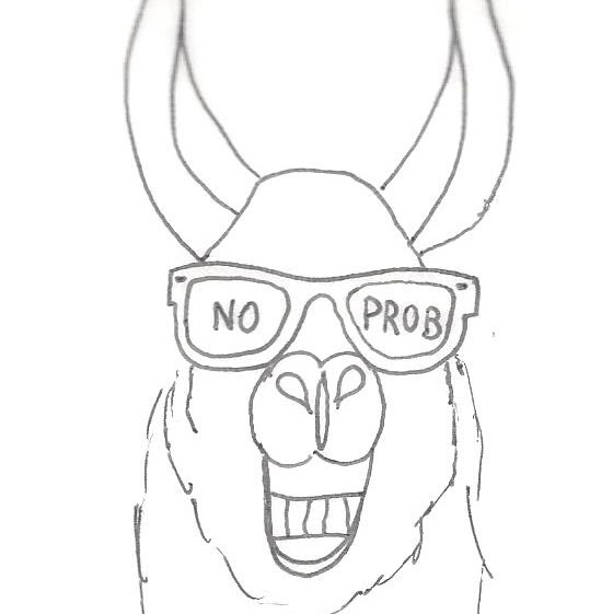 No Prob-Llama RV Storage | 51055 Range Road 251, Leduc County, AB T9G 0B5, Canada | Phone: (780) 955-2017