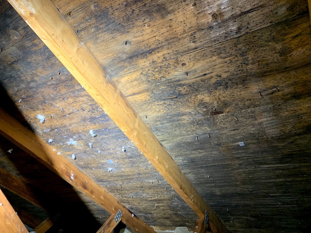 MDHI Home Inspection Niagara Region | 22 Endicott Terrace, Welland, ON L3C 5A9, Canada | Phone: (905) 515-0487
