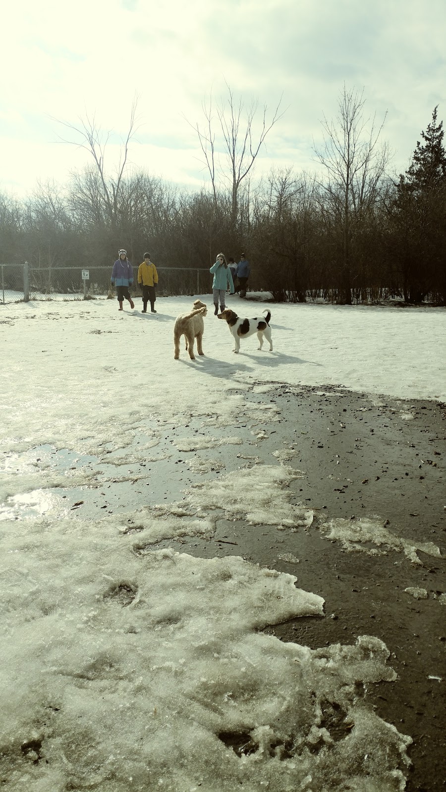 Meadowbrook Dog Park | 692 Parkside Crescent, Kingston, ON K7M 8A7, Canada