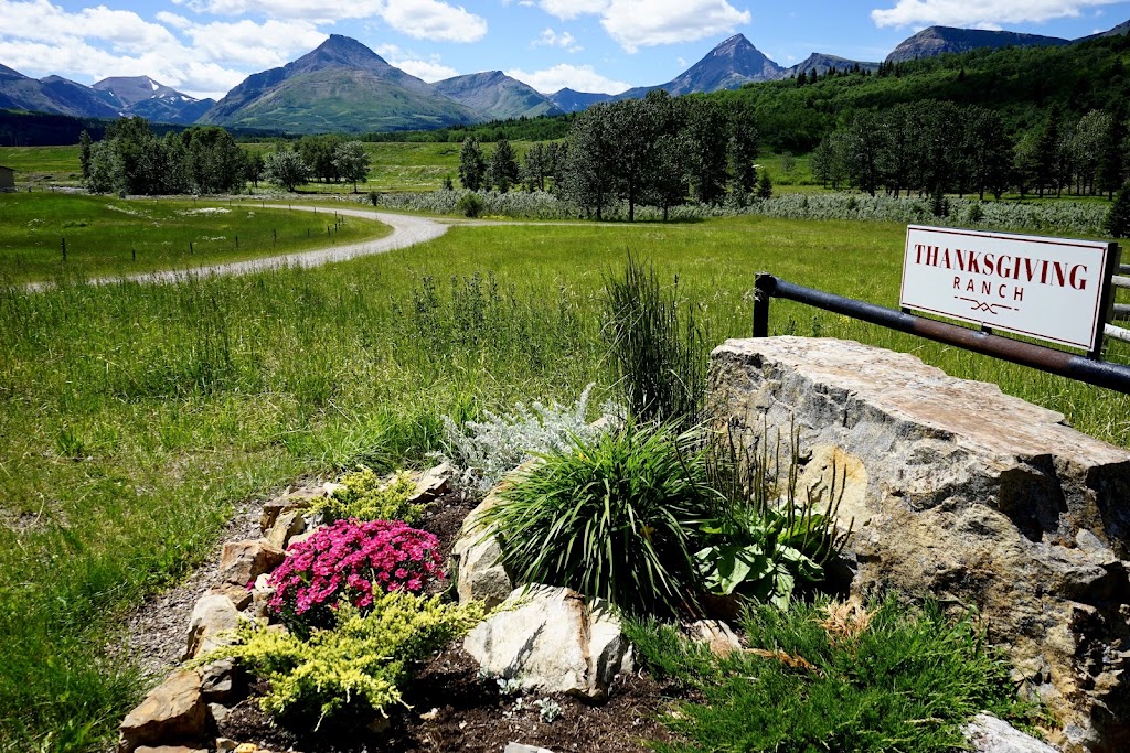 Thanksgiving Ranch | SE 26-4-1-W5M, Pincher Creek, AB T0K 1W0, Canada | Phone: (403) 627-1961