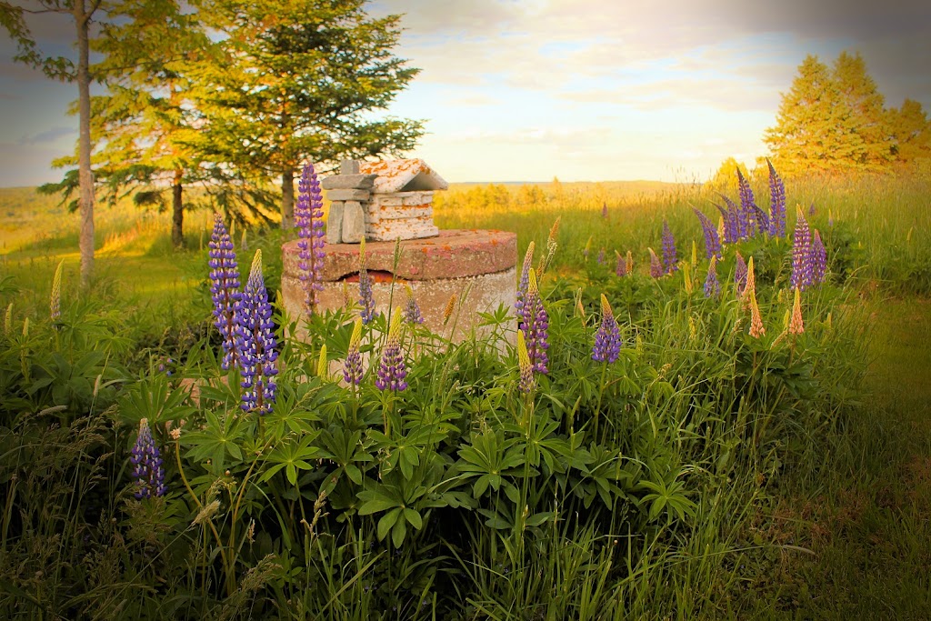 Bolerame Acres Homestay | 1054 Osborne Rd, New Germany, NS B0R 1E0, Canada | Phone: (902) 298-7773