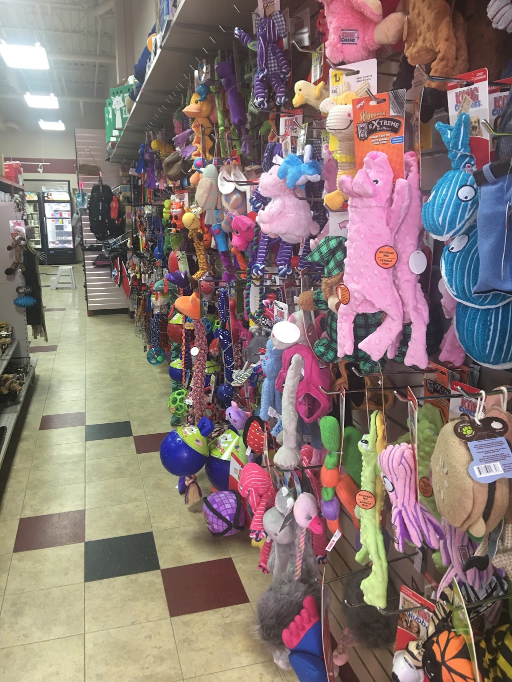 Global Pet Foods Brooklin | 200 Carnwith Dr E, Whitby, ON L1M 0A1, Canada | Phone: (905) 425-1899