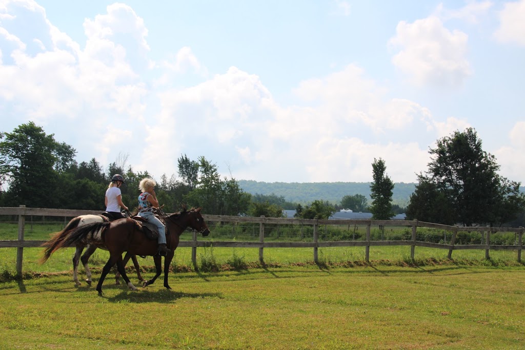 Ranch Tibalain | 209 Chemin de Béthanie, Béthanie, QC J0E 2L1, Canada | Phone: (514) 972-6789