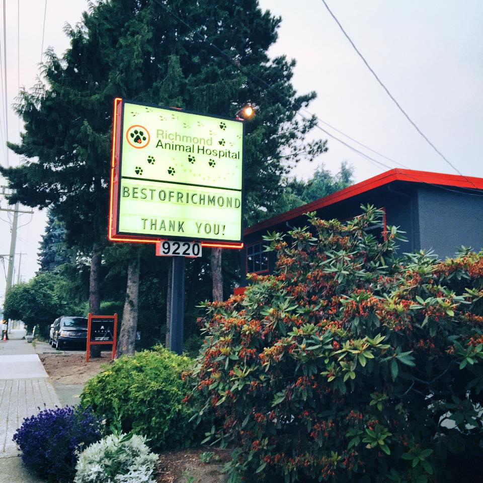 Richmond Animal Hospital Ltd | 9220 No 3 Rd, Richmond, BC V7A 1V9, Canada | Phone: (604) 277-3161