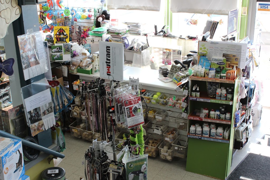animalerie la fine griffe | 5700 Rue Martineau, Saint-Hyacinthe, QC J2R 1T6, Canada | Phone: (450) 796-4090