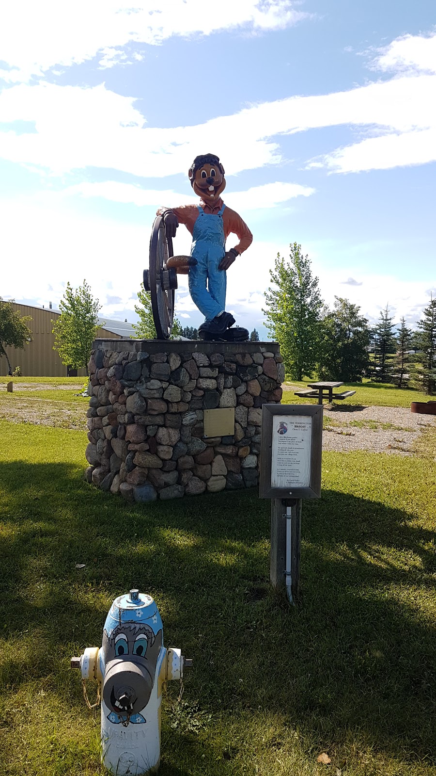 Ron Gorr Memorial Arena | 101-101, 101-101 Park Ave, Torrington, AB T0M 2B0, Canada | Phone: (403) 631-2163