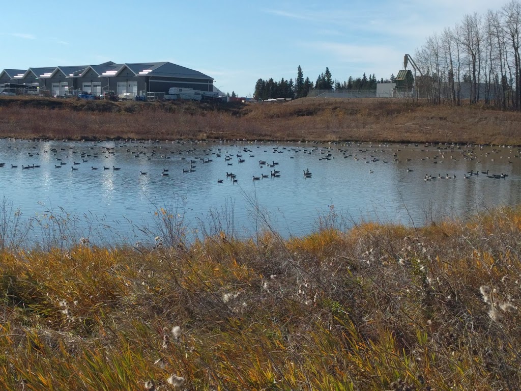 Umbach Off-leash Dog Park | 969 Boulder Blvd, Stony Plain, AB T7Z 2Y2, Canada