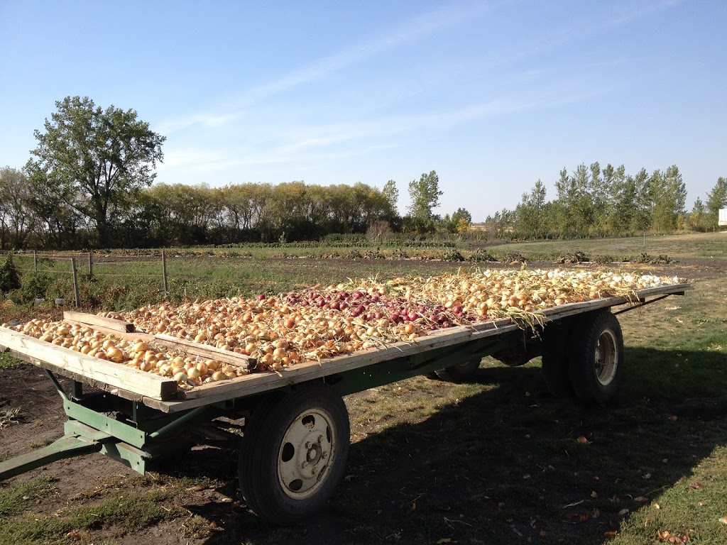 Valleyfield Acres | Road 27 W, Yard 10088 RR2 Box 206, Morden, MB R6M 2A1, Canada | Phone: (204) 362-7624