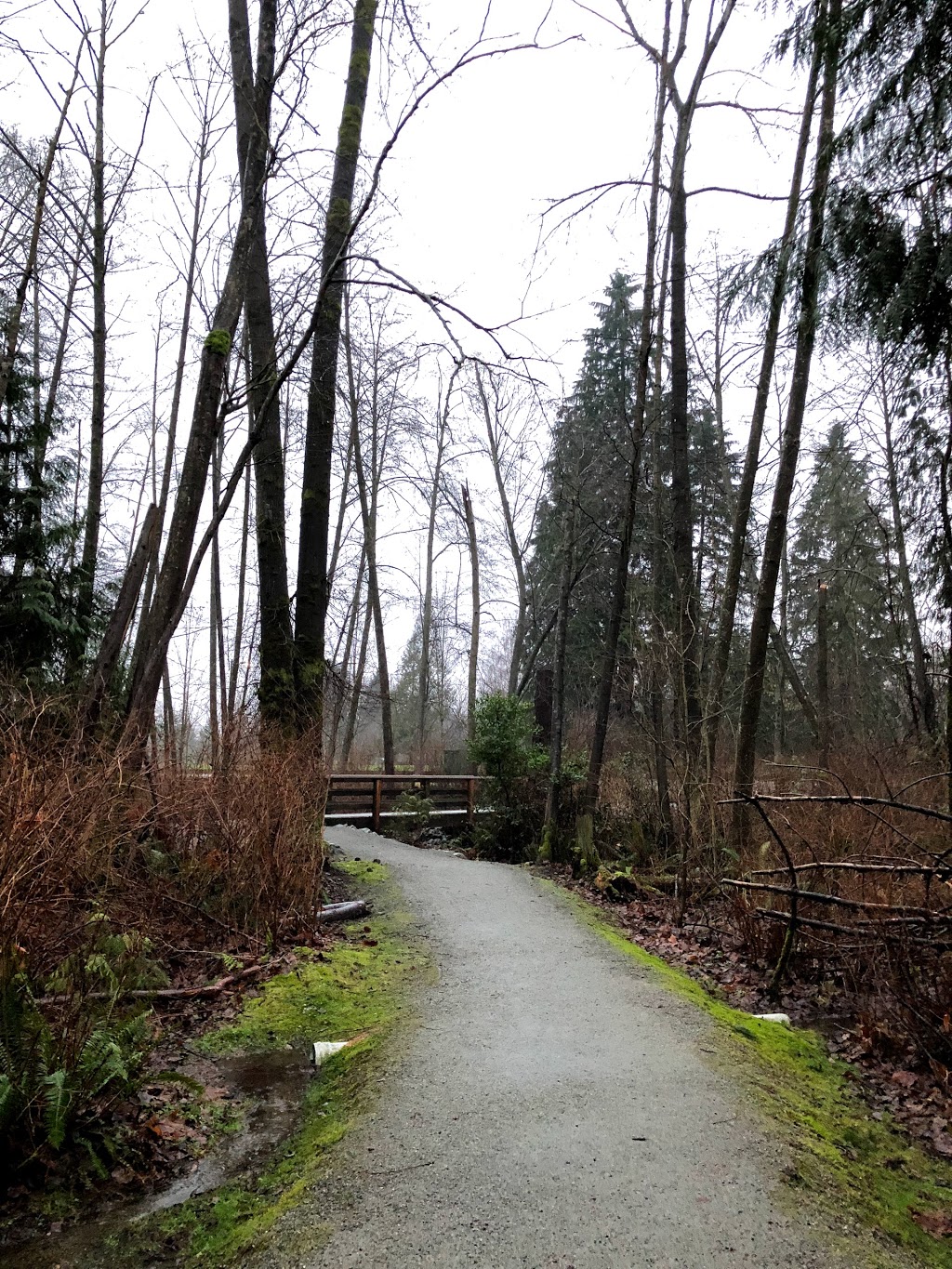 Squint Lake Park | 1541 Greystone Dr, Burnaby, BC V5A 1T4, Canada | Phone: (604) 294-7450
