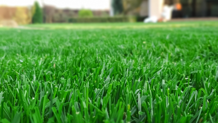 Highland Redi-Green Turf Farm | 16897 Windsor Rd, Pitt Meadows, BC V3Y 1Z1, Canada | Phone: (604) 465-9812