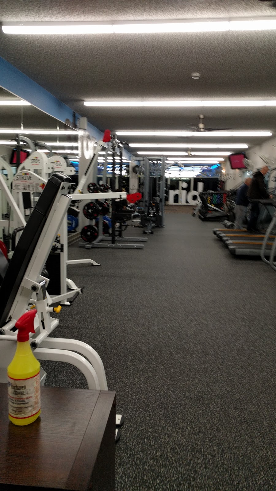 Bellingham Training & Tennis Club | 800 McKenzie Ave, Bellingham, WA 98225, USA | Phone: (360) 733-5050