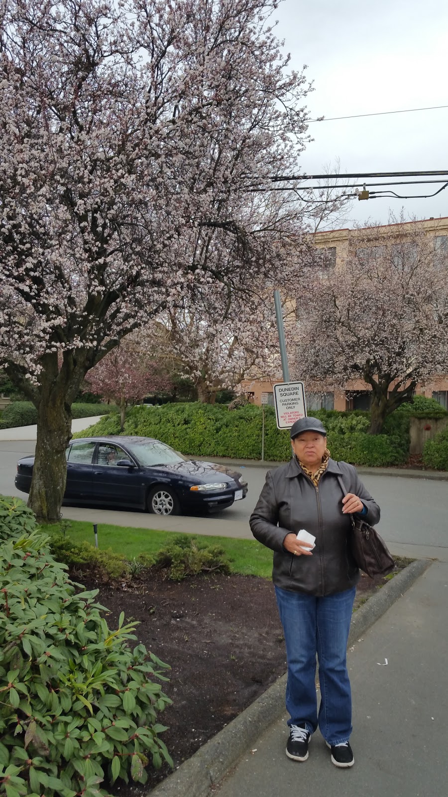 Tim Hortons | 456a Gorge Rd E, Victoria, BC V8T 2W4, Canada | Phone: (250) 380-0137