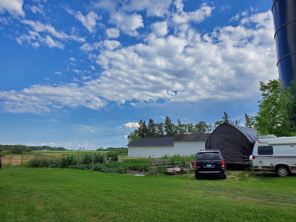 Integrity Foods | 141 N Highway 8, Riverton, MB R0C 2R0, Canada | Phone: (204) 378-2887