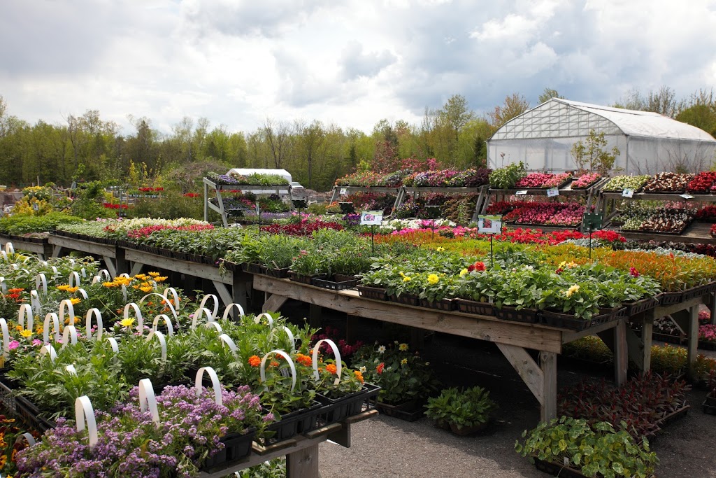 Signé Garneau Paysagiste | 29 Boulevard Arthabaska Est, Victoriaville, QC G6T 0S5, Canada | Phone: (819) 758-3887