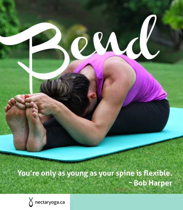 Nectar Yoga | 1258 Miller Rd, Bowen Island, BC V0N 1G1, Canada | Phone: (604) 947-6999