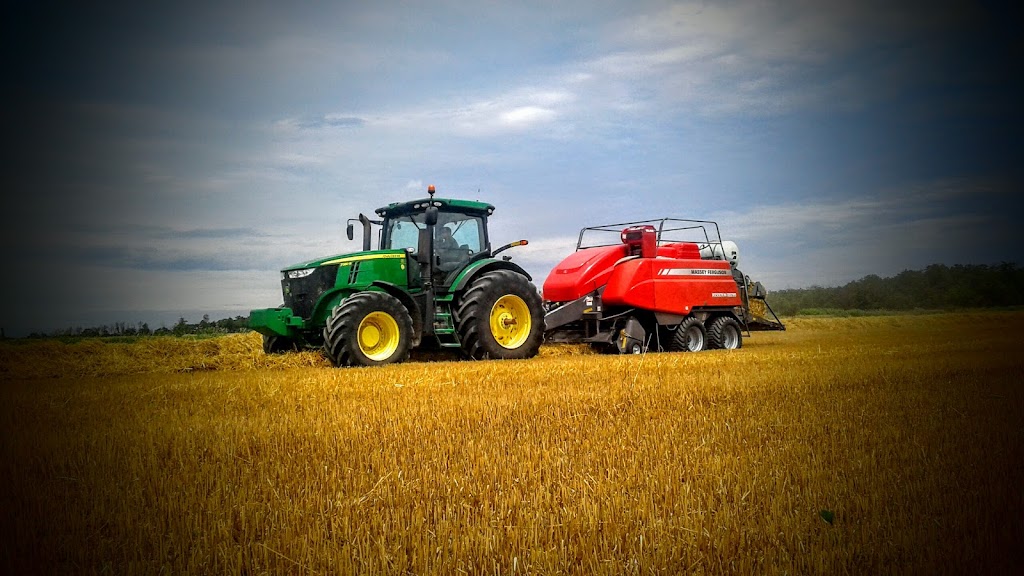 PDM Steckle Farms Ltd. | 74285 Bronson Line, Zurich, ON N0M 2T0, Canada | Phone: (519) 525-3087