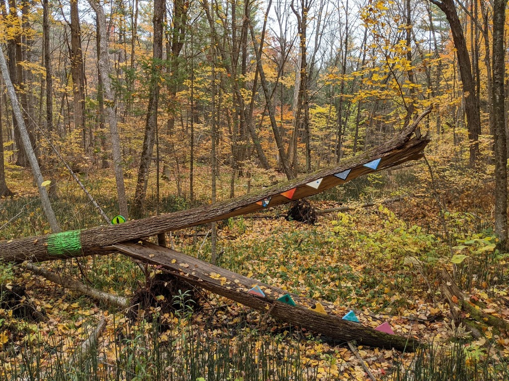 Sidney Conservation Area | 379 Airport Rd, Stirling, ON K0K 3E0, Canada | Phone: (613) 968-3434